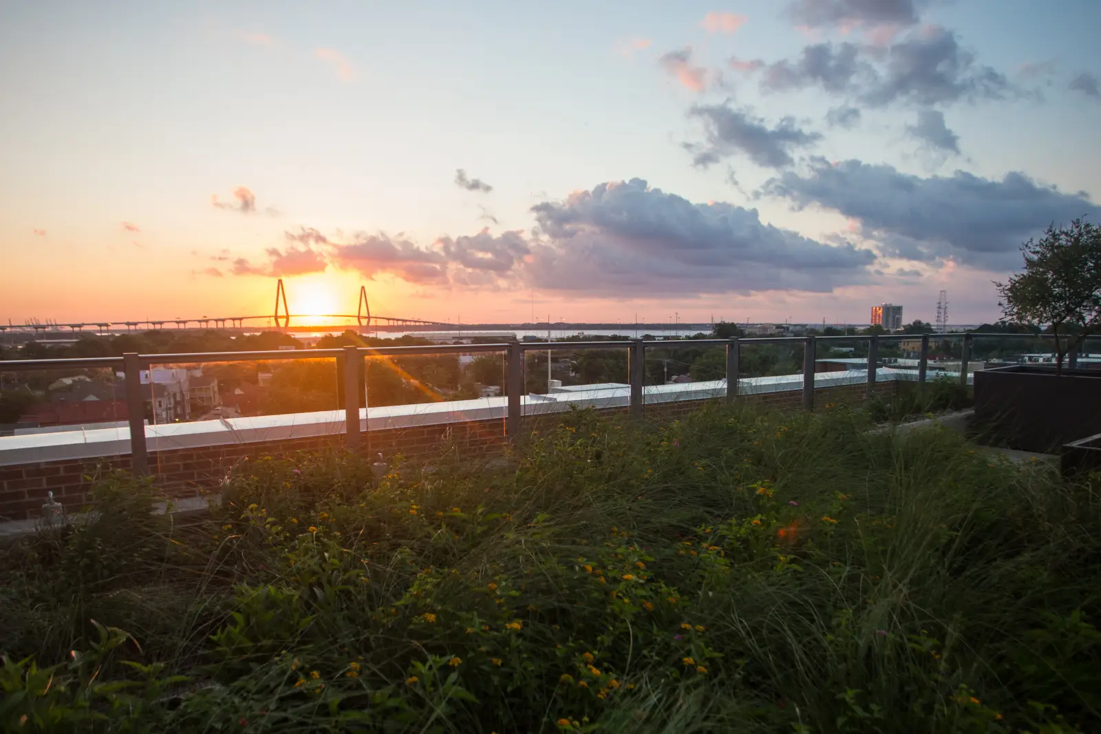 sunrise bridge charleston skygarden student apartments